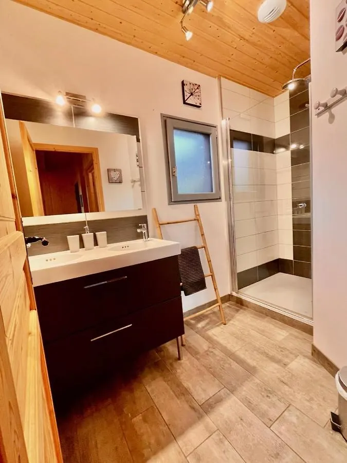 Chalet Le Loti Des Arnats Villa Saint-Nectaire France
