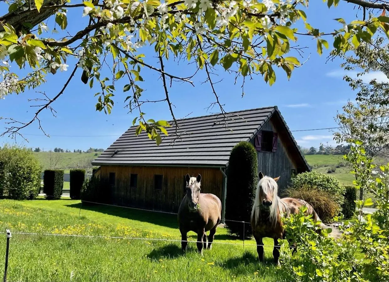 Chalet Le Loti Des Arnats Villa Saint-Nectaire